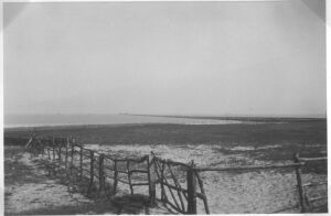 Pier